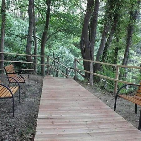 Tatiana Pines 오브조르