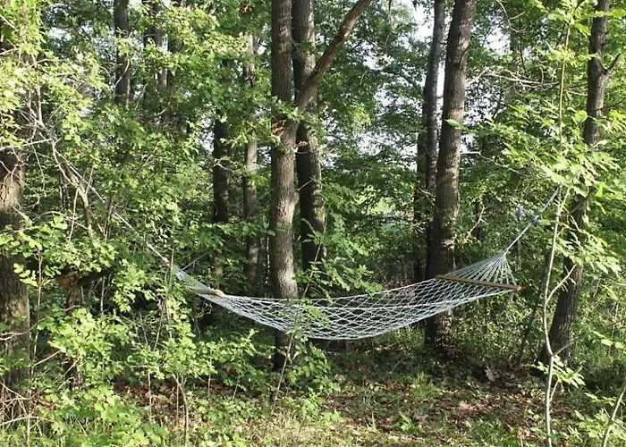 Tatiana Pines * 오브조르